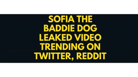 sofia the baddie dog full video|Sofia the baddie dog video 